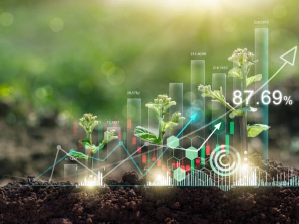 Step-by-step process of buying and holding land in Dubai for land banking.