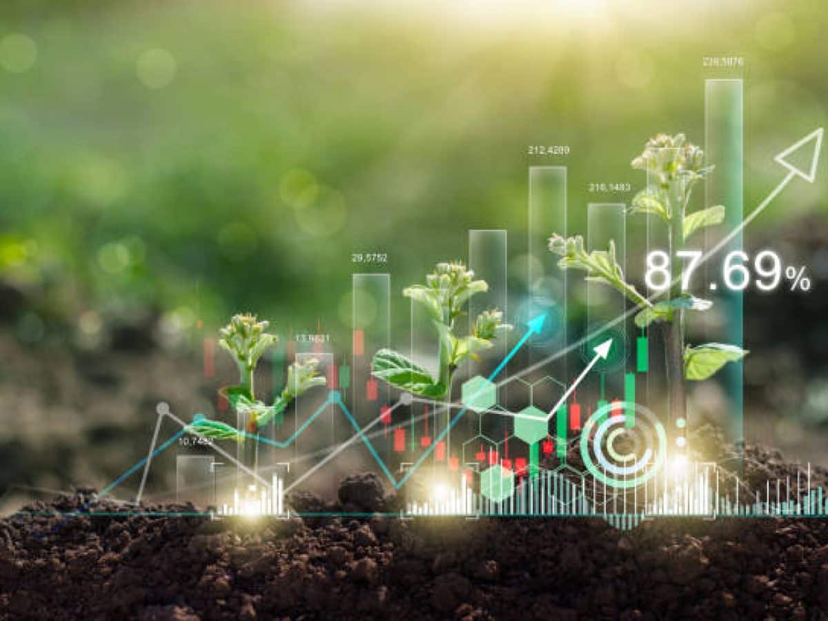 Step-by-step process of buying and holding land in Dubai for land banking.